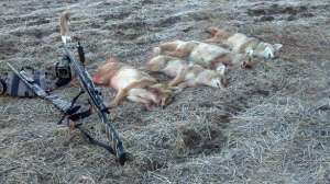 Ftr standoflifetime700 181003 162124