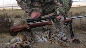 Ftr savedhousecat700 181003 162058