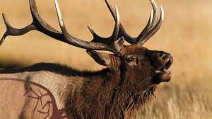 Gamechanger700 181003 162154