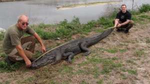 Gatorhunt700 181003 155432