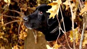 Godmadeahunter700 181003 160227