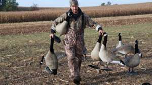 Goose hunting spread august lead 181003 162012