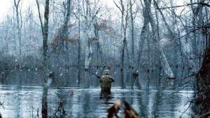 Greenheads700lead 181003 162302