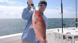 Gulf coast lead 1 181003 162312