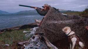 Gun shy dogs lead 181003 155940