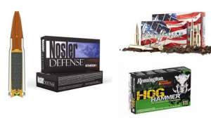 Gunsloads700 181003 162159