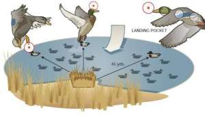 Hardest shots lead 181003 154925