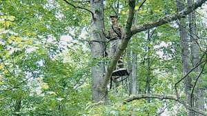 Hicks pre rut 700 181003 161208