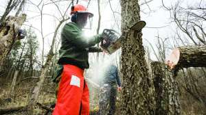 Hinge cutting wtith equipment