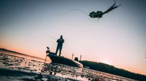 Hollow body frog beauty