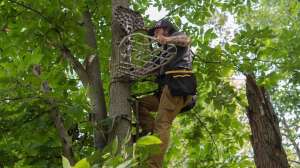 How high treestand lead