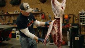 How to debone a deer