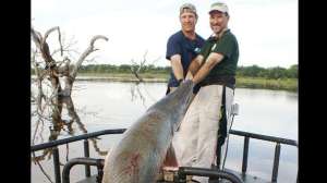 Huge muzzy gar lead 181004 084540