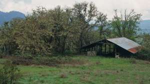 Hunting barns lead 181003 160532