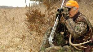 Hunting pressured deer july lead