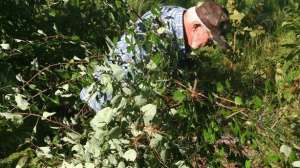 Hunting spring guide lead 181003 162311