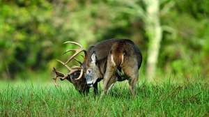 I Stock 139533045 EEI Tony