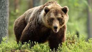 I Stock 1431036867 for web