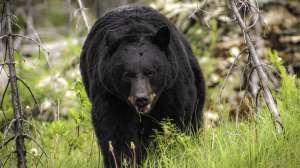 I Stock 1449843422 Muth 230623 133459