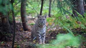 I Stock 147289616 e1501770216168