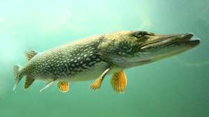 I Stock 160601648 181004 084505