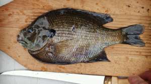 I Stock 173916624 181003 155757