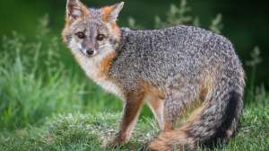 I Stock 476836507 1 johnpane