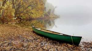 I Stock 486201880 2 181203 143410