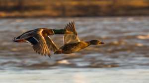 I Stock 508181922 181003 160200