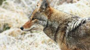 I Stock 516821972 181004 104401