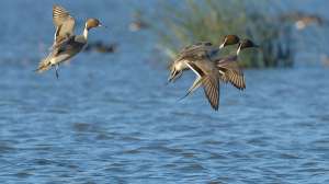 I Stock 598790180 181003 160201