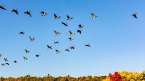 I Stock 618637072 181003 160159