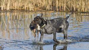 I Stock 624033972 181003 160158