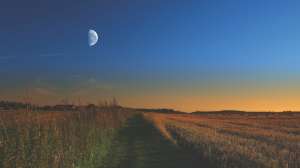 I Stock 952049722 Dhoxax