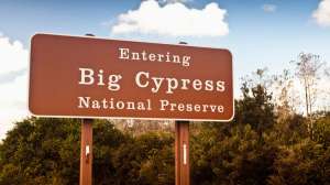 I Stock Big Cypress sign