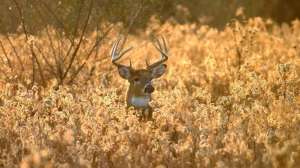 I Stock 000000824558 Large