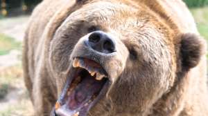 I Stock 000000835143 Small