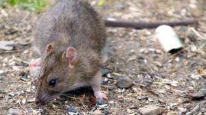 I Stock 000001512378 Small