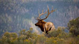 I Stock 000002174656 Full