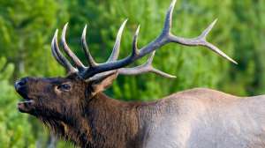 I Stock 000002230793 Small 181004 101001