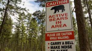 I Stock 000003695648 Small