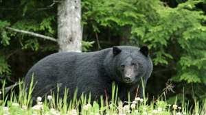 I Stock 000003923364 Large