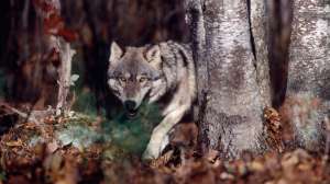 I Stock 000005858984 Large1 181004 094652