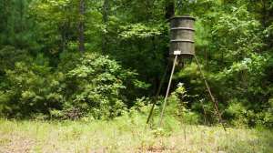 I Stock 000010493466 Full 1 181003 161800