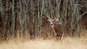 I Stock 000012047871 Full 1 181003 155802