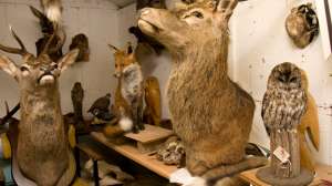 I Stock 000013275234 Small 181004 095747