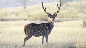 I Stock 000015013334 Large e1453761472941