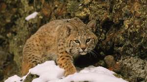 I Stock 000015603526 Large