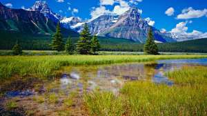 I Stock 000021034161 XXX Large 181004 100159