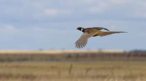 I Stock 000023870374 Large